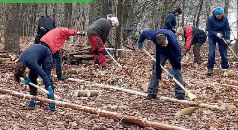Komm vorbei und pack mit an | Arbeitseinsatz für den Schilfgürtel-Schutz am Sacrower See