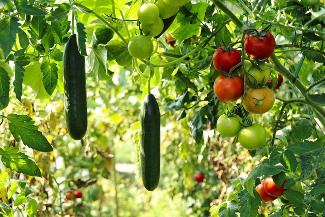 Gartenforum – Gärten neu denken | Vortrag und Diskussion | Martin Heiler (RKI) erklärt wie’s geht